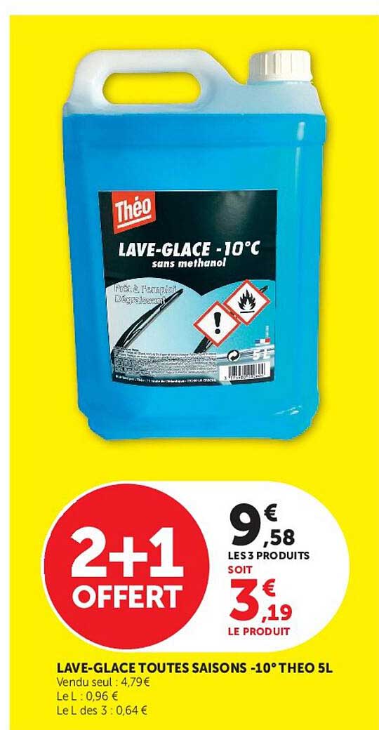 LAVE-GLACE TOUTES SAISONS -10° THEO 5L