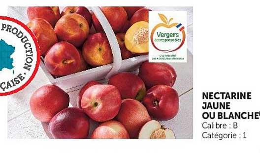 NECTARINE JAUNE OU BLANCHE