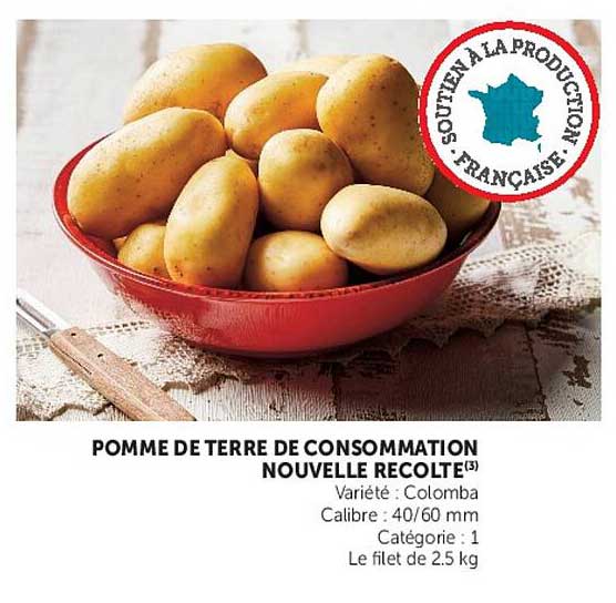 POMME DE TERRE DE CONSOMMATION NOUVELLE RECOLTE