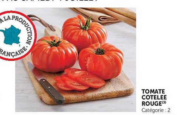 TOMATE COTEELE ROUGE(3)