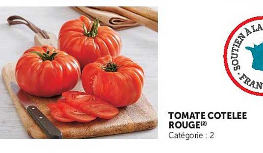 TOMATE COTELEE ROUGE