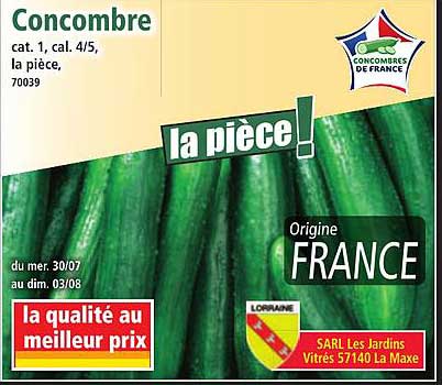Concombre