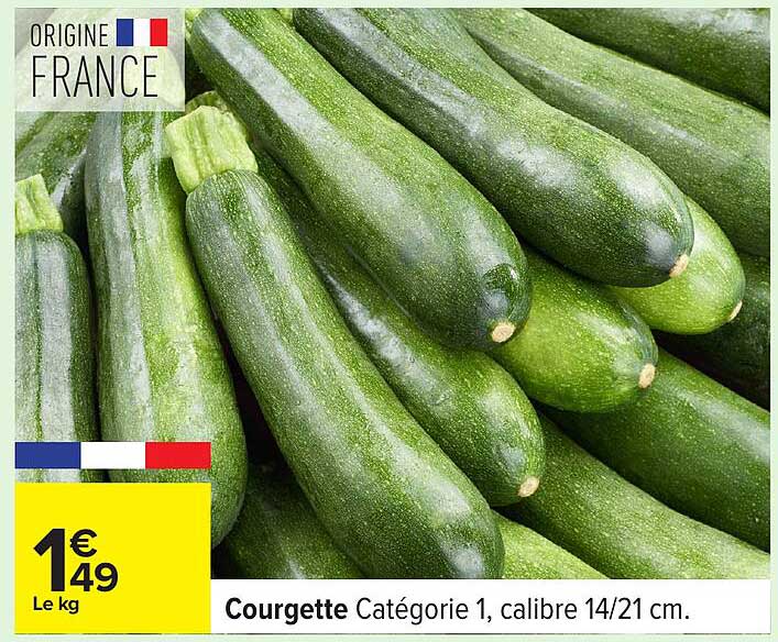 Courgette Catégorie 1, calibre 14/21 cm.