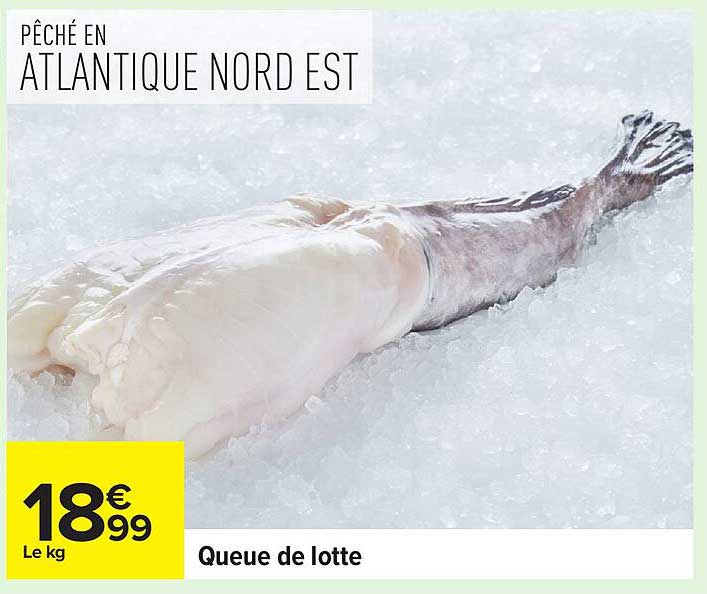 Queue de lotte