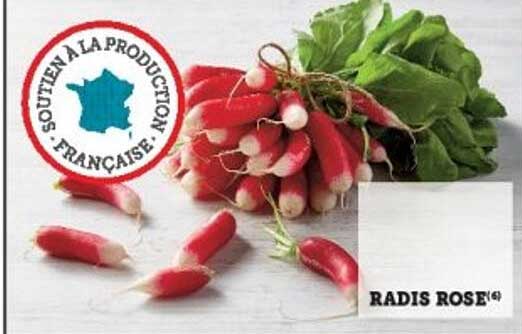 RADIS ROSE