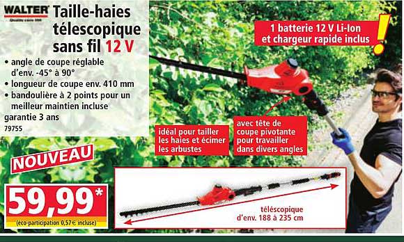 Taille-haies télescopique sans fil 12 V