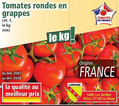 Tomates rondes en grappes