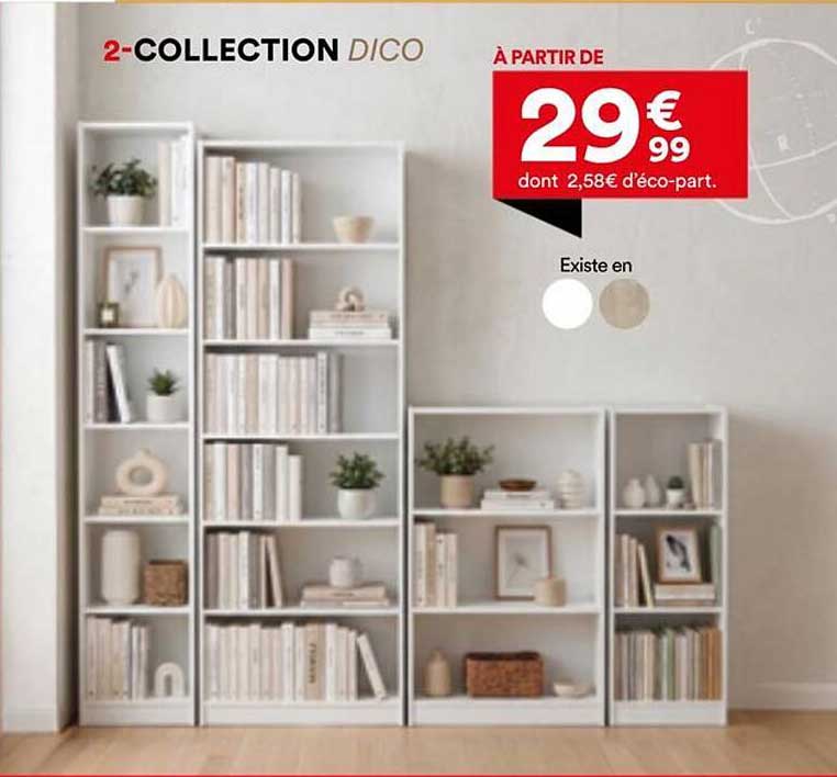 2-COLLECTION DICO