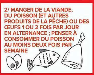 2/ MANGER DE LA VIANDE, DU POISSON (ET AUTRES PRODUITS DE LA PÊCHE) OU DES ŒUFS 1 OU 2 FOIS PAR JOUR EN ALTERNANCE ; PENSER À CONSOMMER DU POISSON AU MOINS DEUX FOIS PAR SEMAINE