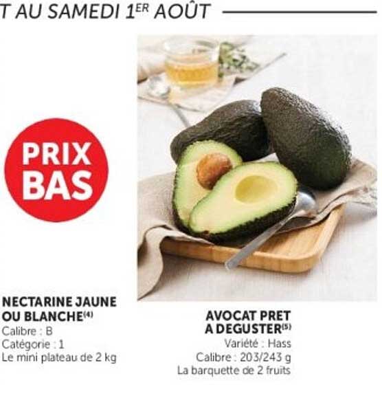 AVOCAT PRET A DEGUSTER