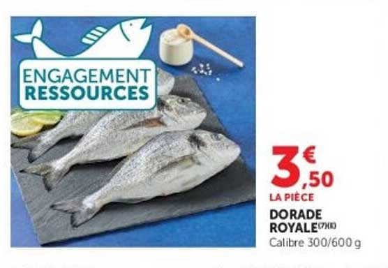DORADE ROYALE