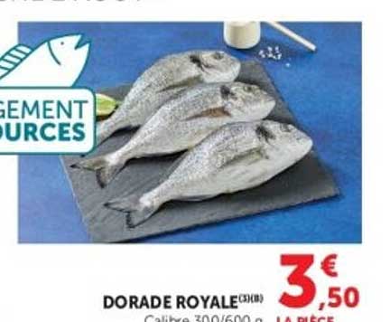 DORADE ROYALE