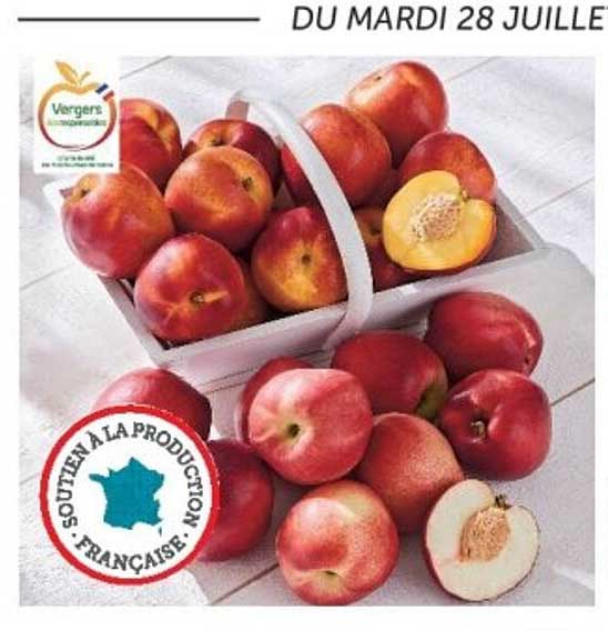 DU MARDI 28 JUILLET
