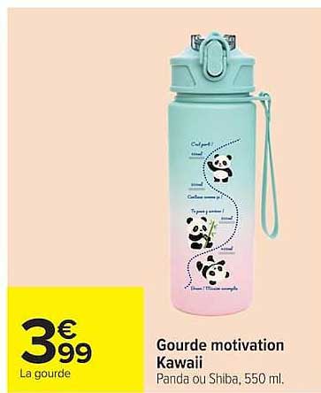 Gourde motivation Kawaii Panda ou Shiba, 550 ml.
