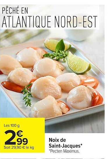 PÊCHE EN ATLANTIQUE NORD-EST
