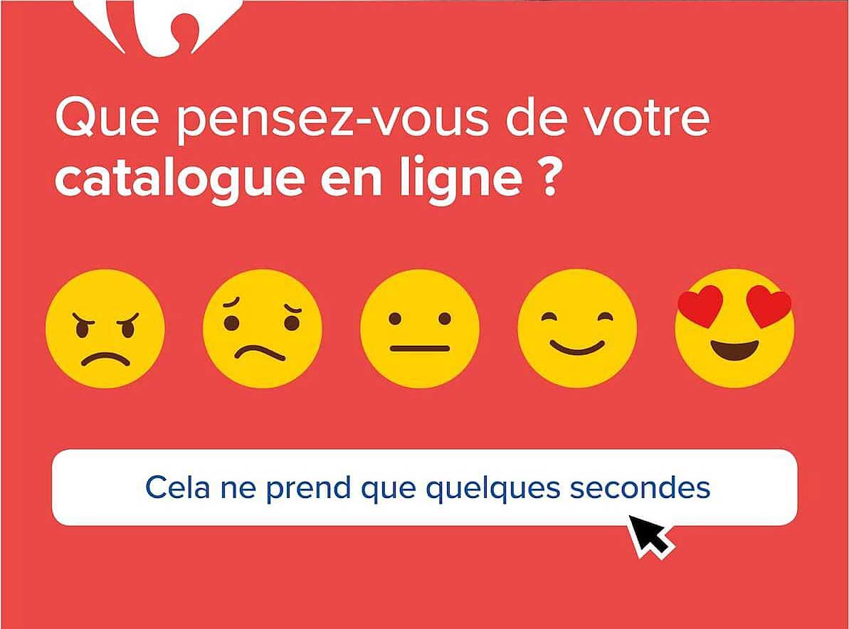 Que pensez-vous de votre catalogue en ligne ?