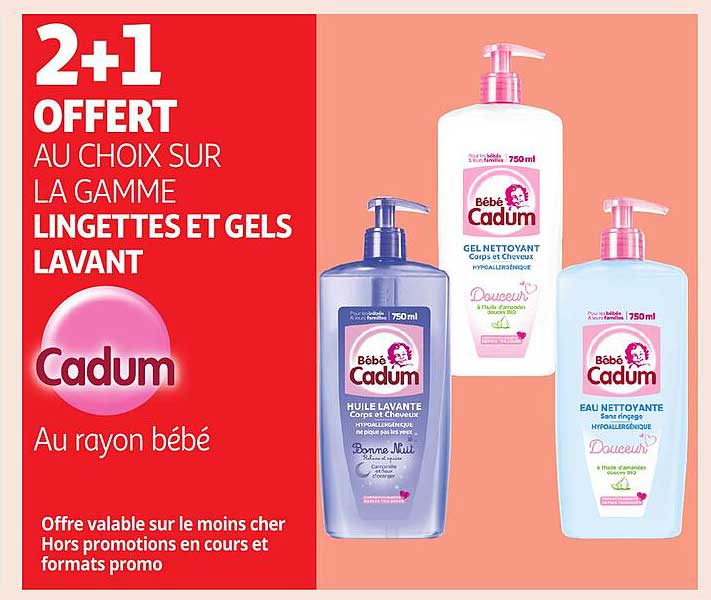 2+1 OFFERT AU CHOIX SUR LA GAMME LINGETTES ET GELS LAVANT