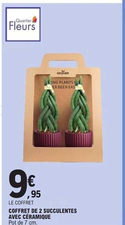 COFFRET DE 2 SUCCULENTES AVEC CÉRAMIQUE