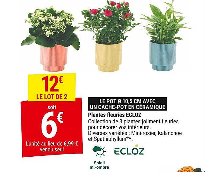 LE POT Ø 10,5 CM AVEC UN CACHE-POT EN CÉRAMIQUE