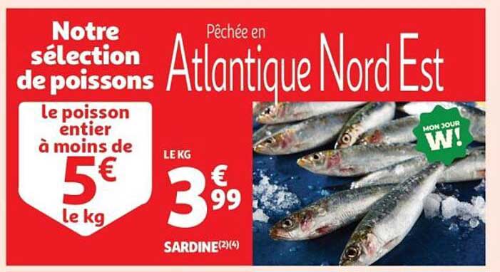 Notre sélection de poissons