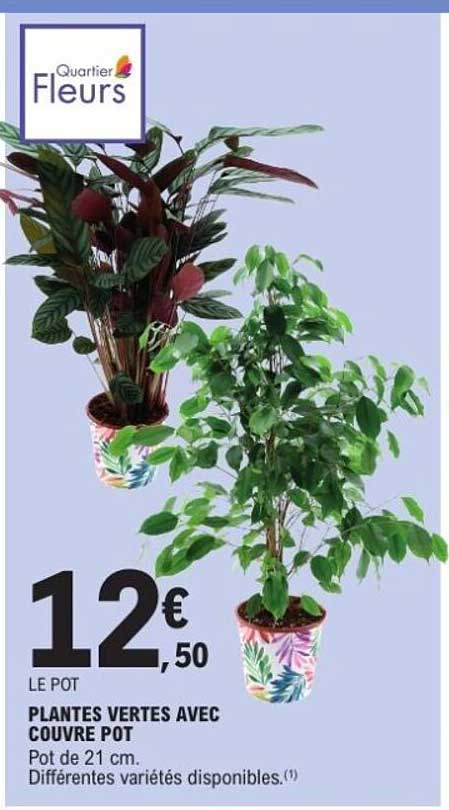 PLANTES VERTE AVEC COUVER POT