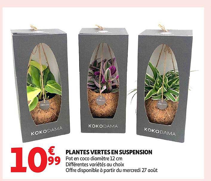 PLANTES VERTES EN SUSPENSION