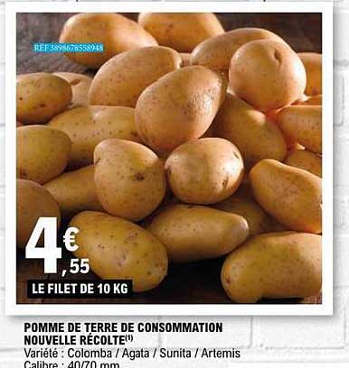 POMME DE TERRE DE CONSOMMATION NOUVELLE RÉCOLTE