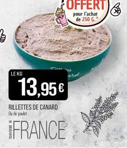 RILLETTES DE CANARD