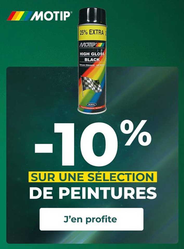 -10% SUR UNE SÉLECTION DE PEINTURES