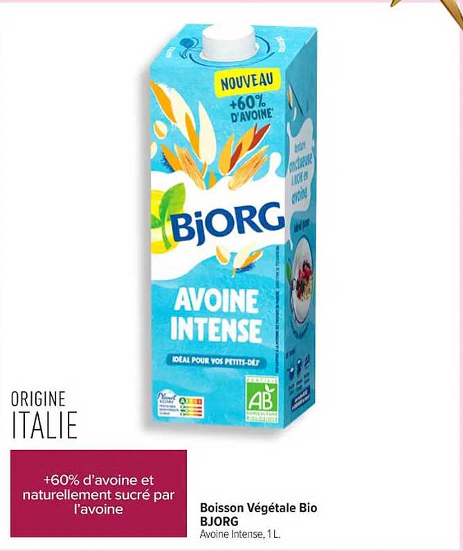 Boisson Végétale Bio BJORG Avoine Intense, 1L