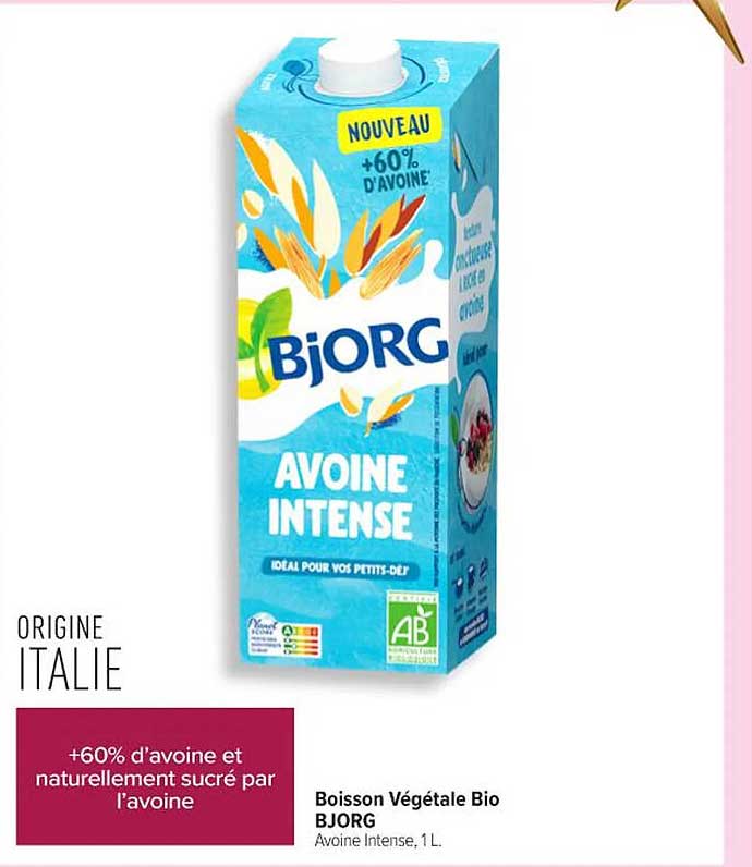 Boisson Végétale Bio BJORG Avoine Intense, 1L