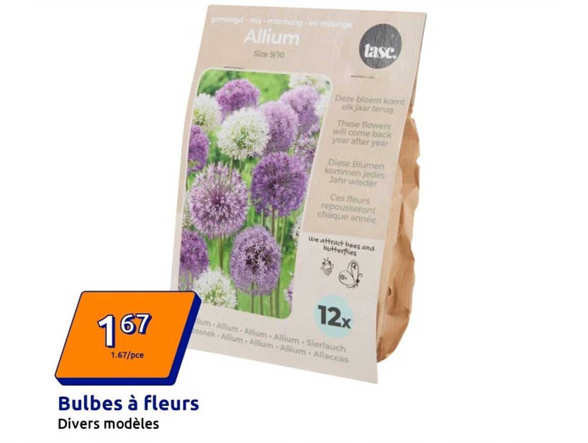 Bulbes à fleurs