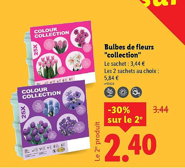 Bulbes de fleurs "collection"