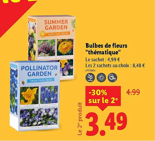 Bulbes de fleurs "thématique"