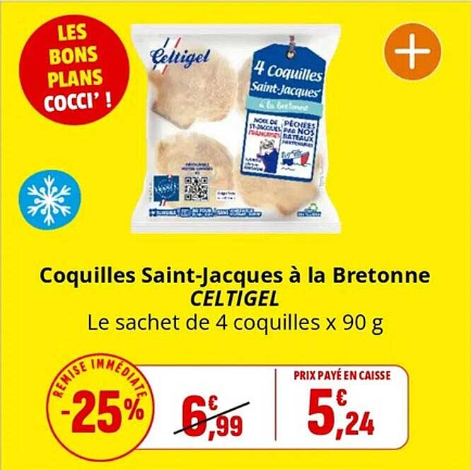 Coquilles Saint-Jacques à la Bretonne CELTIGEL