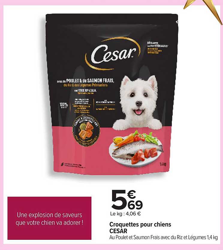 Croquettes pour chiens CESAR