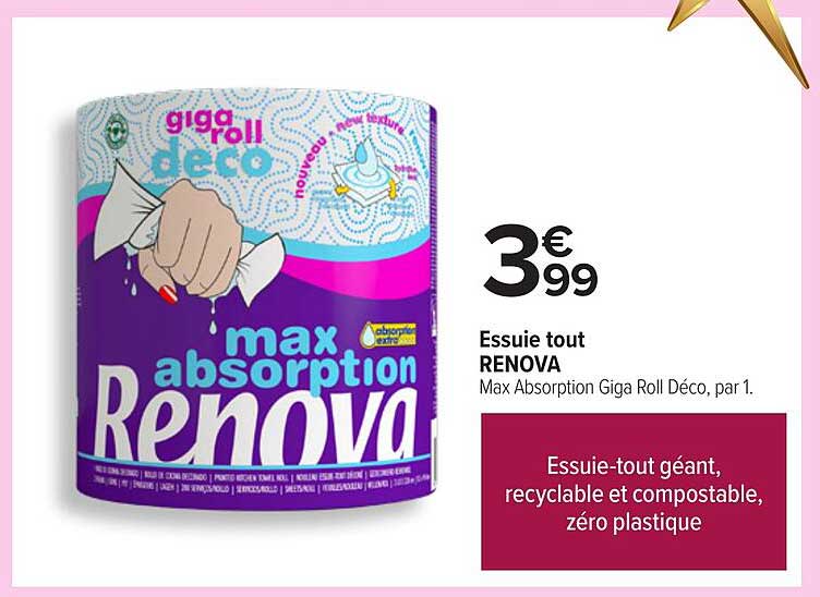 Essuie tout RENOVA