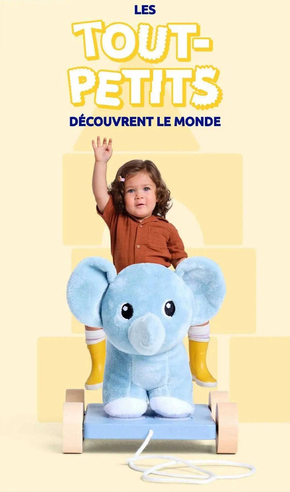 LES TOUT-PETITS DÉCOUVRENT LE MONDE