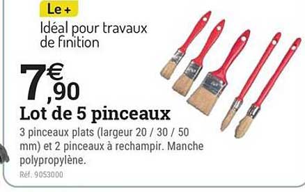 Lot de 5 pinceaux