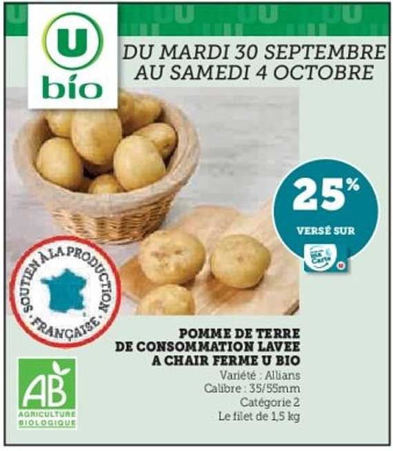 POMME DE TERRE DE CONSOMMATION LAVEE A CHAIR FERME U BIO
