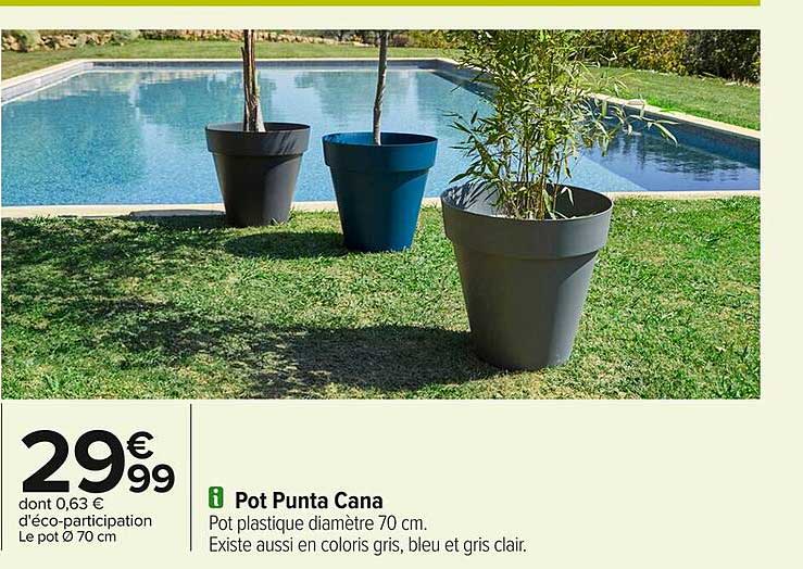 Pot Punta Cana