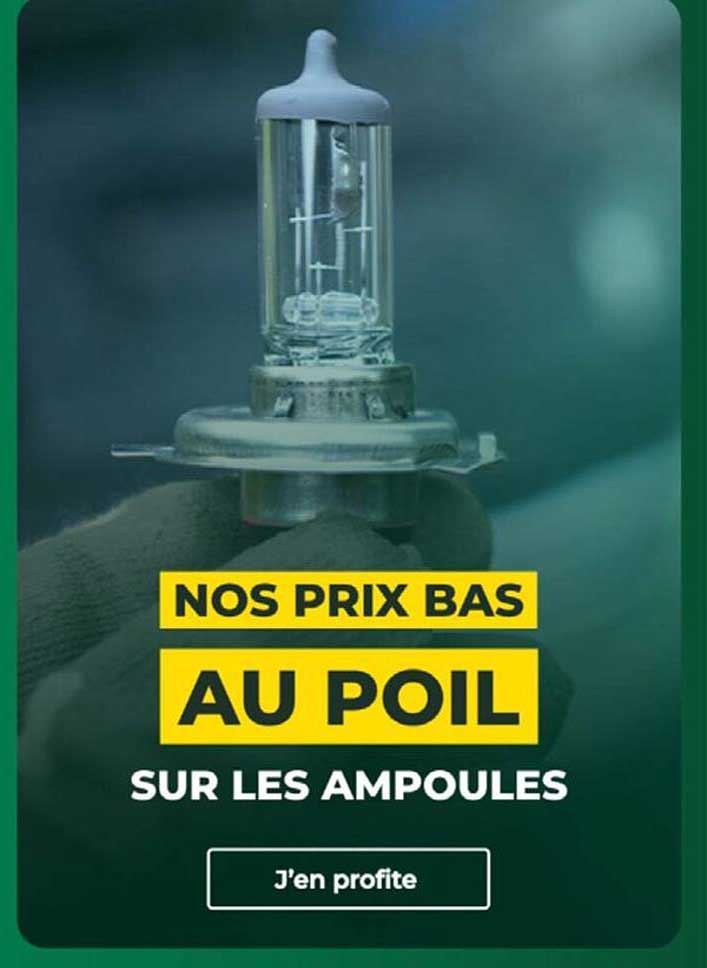 NOS PRIX BAS AU POIL SUR LES AMPOULES