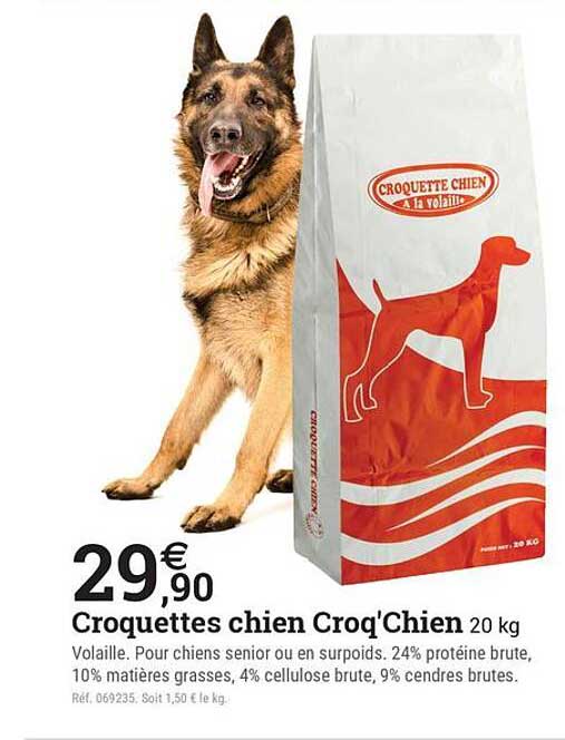 Croquettes chien Croq'Chien 20 kg