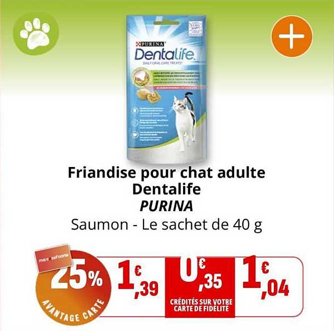 Friandise pour chat adulte Dentalife PURINA