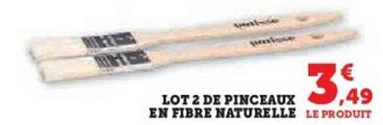 LOT 2 DE PINCEAUX EN FIBRE NATURELLE