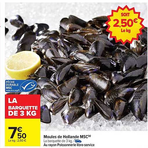 Moules de Hollande MSC