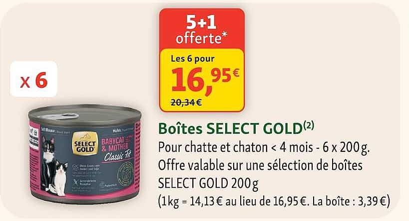 5+1 offerte*