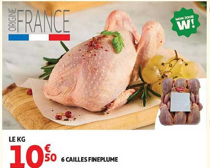 6 cailles fineplume