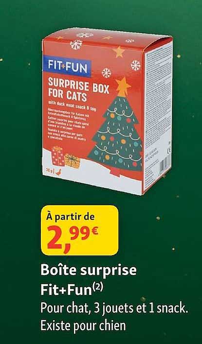 Boîte surprise Fit+Fun
