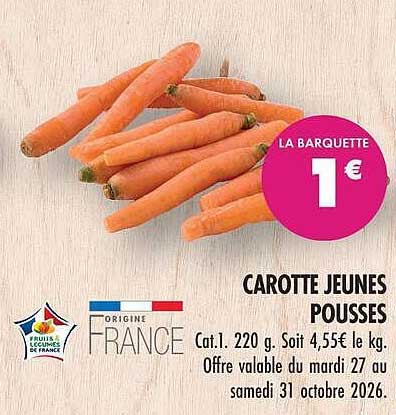 CAROTTE JEUNES POUSSES